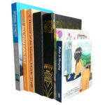 where to by custom sof from china supplier