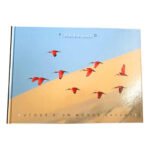 where to by custom hardcover journal from china supplier