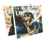 where to by Professional flip book from china supplier