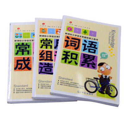 where to by custom a5 from china supplier