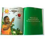 where to by custom pocket notebooks from china supplier
