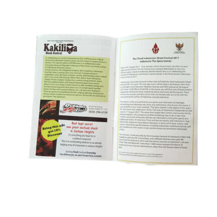 where to by Custom A4 Brochure from china supplier