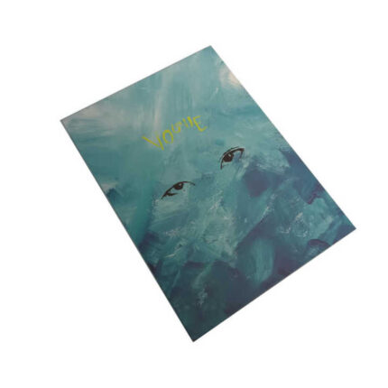 where to by custom discbound from china supplier