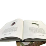 Custom Colored Book Printing