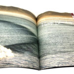 Custom Magazine Printing