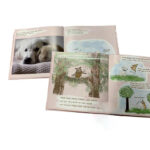 Hard Cover Book Printing