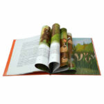 Softcover Book Printing