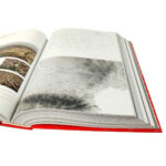 Photography Book