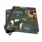 Colorful Islamic Books for Kids