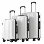 2-piece spinner luggage set