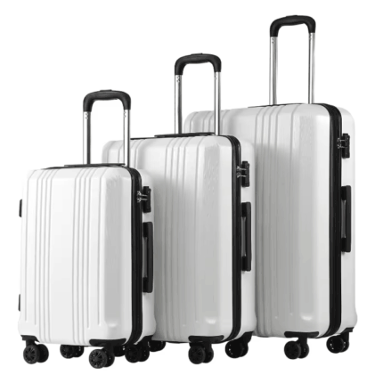 2-piece spinner luggage set