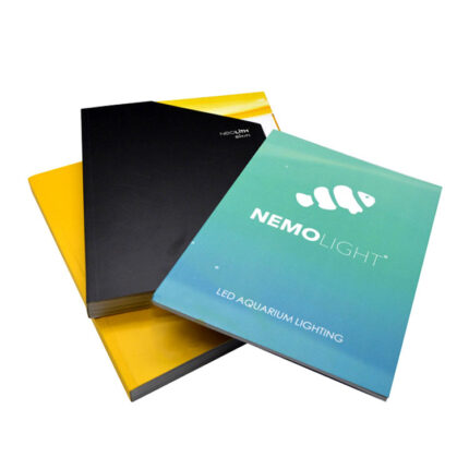 Brochure Printing Services