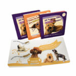 children's book printing