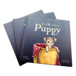 Children's Illustrated Story Books