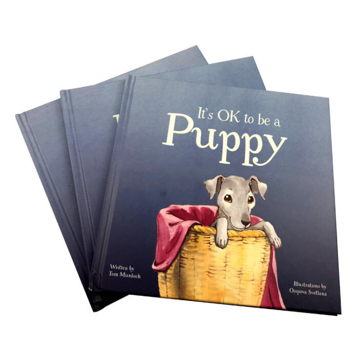 Children's Illustrated Story Books