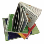Custom Colorful Board Books