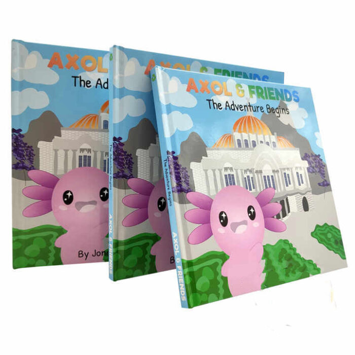 Custom Storybook for Children