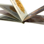 Hard Cover Kids Learning Book