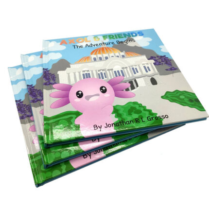 High Quality Pictures Books