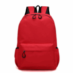 School Backpack