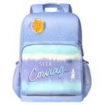 Student School Bag