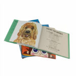 children's story books hardcover