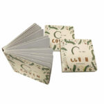 colorful children's board books