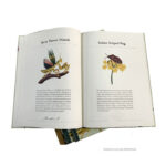 custom book printing in bulk