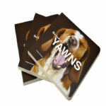 custom kids board books