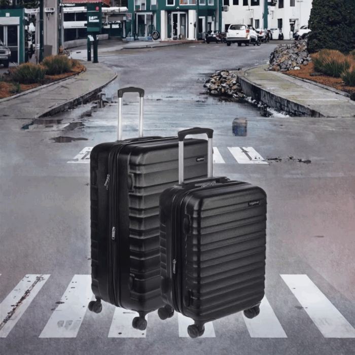custom luggage sets