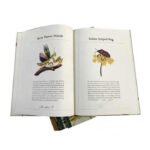 kids hardcover book printing