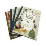 kids hardcover book printing