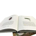 kids hardcover book printing