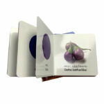 personalized board books