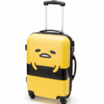 personalized carry on luggage