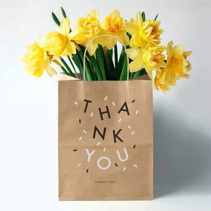 where to by printed brown paper gift bags from china supplier