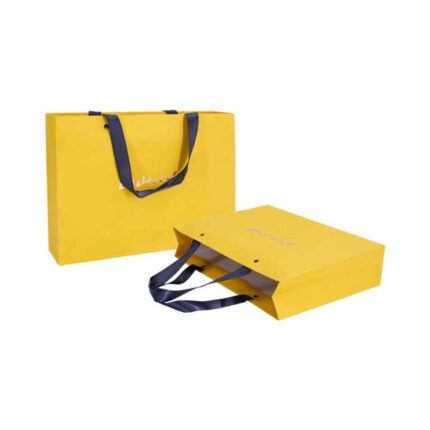 Luxury Paper Bag