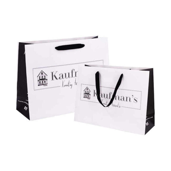 Paper Bag from china supplier