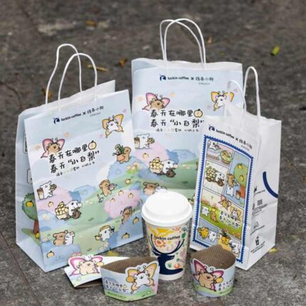 where to by custom white paper bags from china supplier