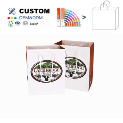 Custom Logo Printing Shopping Bag from china supplier