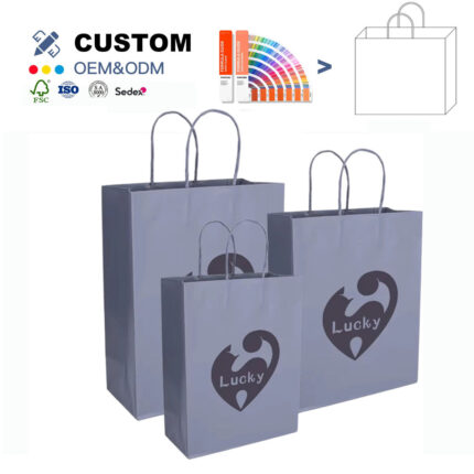 where to by paper carry bag printing from china supplier