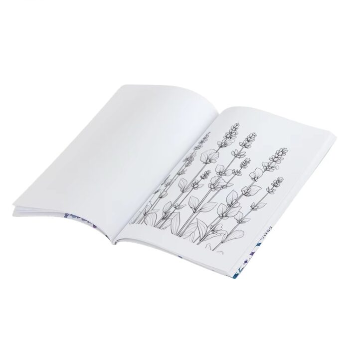 educational coloring books