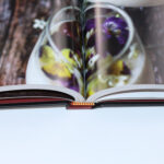 professional offset printing