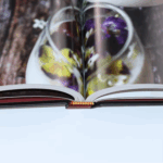 custom embossed cover books