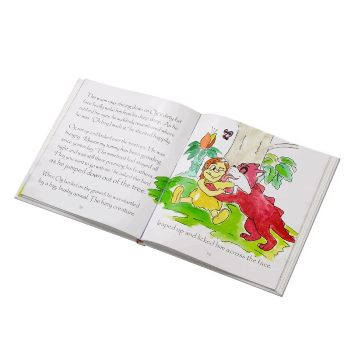 custom illustrated children book