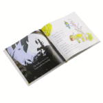 custom illustrated children book