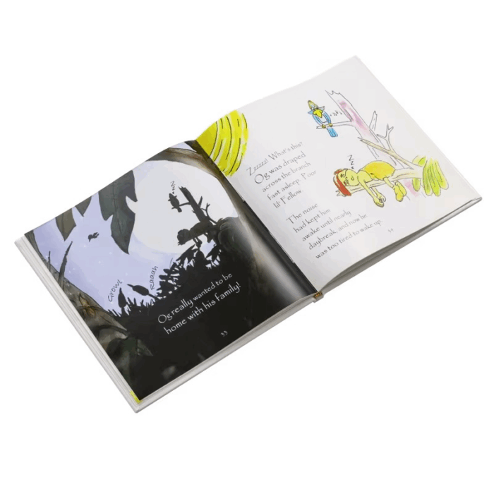 custom illustrated children book
