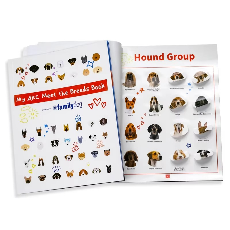 where-to-buy-educational-stickers-for-kids-custom-sticker-book-zoo-themed-stickers-from-china-supplier (1) educational stickers for kids