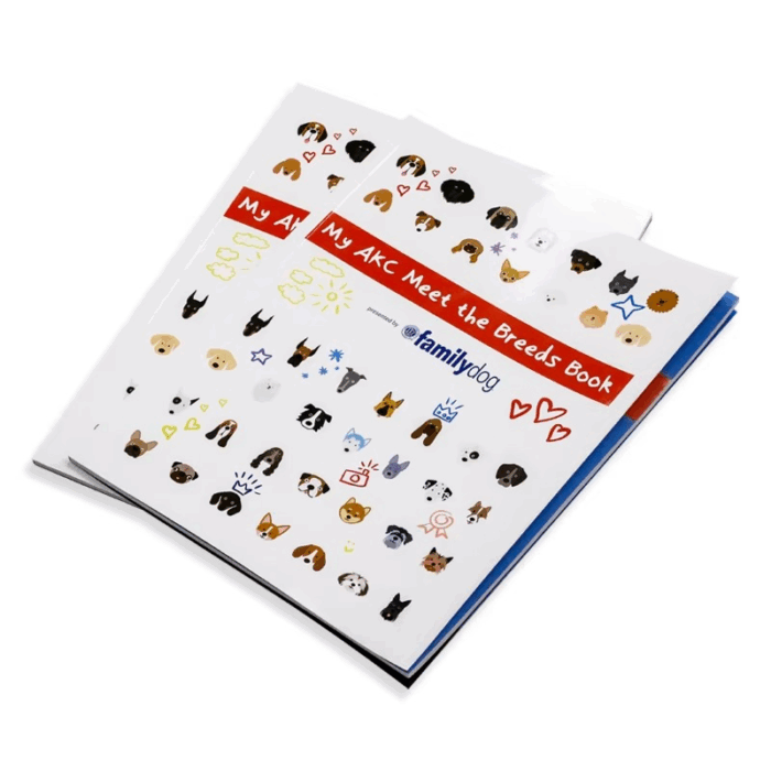 educational stickers for kids