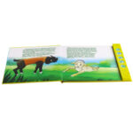 High Quality Customized Fairy Tale Story Book for Children's Education Fast Lead Time Paper E-Book Printing Service
